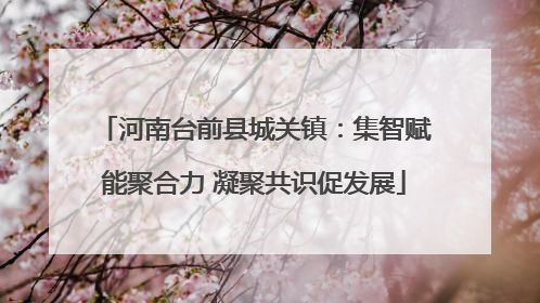 河南台前县城关镇：集智赋能聚合力 凝聚共识促发展