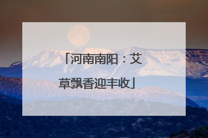 河南南阳：艾草飘香迎丰收