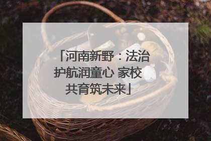 河南新野：法治护航润童心 家校共育筑未来