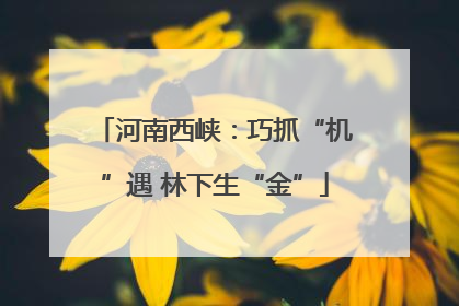 河南西峡：巧抓“机”遇 林下生“金”