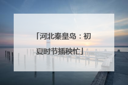 河北秦皇岛：初夏时节插秧忙