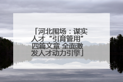 河北围场：谋实人才“引育管用”四篇文章 全面激发人才动力引擎