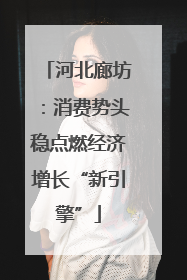 河北廊坊：消费势头稳点燃经济增长“新引擎”