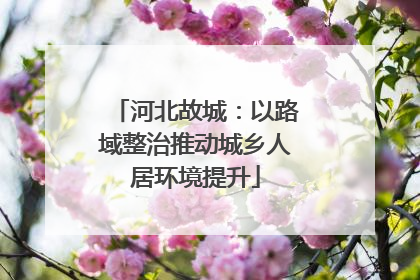 河北故城：以路域整治推动城乡人居环境提升