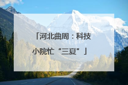 河北曲周：科技小院忙“三夏”