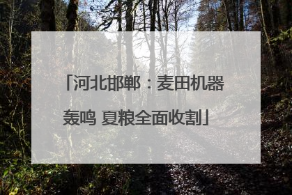 河北邯郸：麦田机器轰鸣 夏粮全面收割