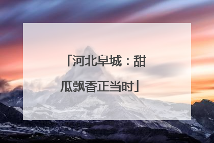 河北阜城：甜瓜飘香正当时
