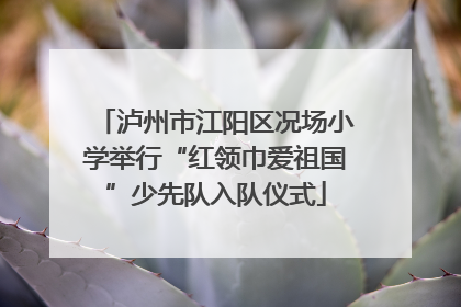泸州市江阳区况场小学举行“红领巾爱祖国”少先队入队仪式