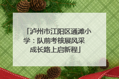 泸州市江阳区通滩小学：队前考核展风采 成长路上启新程