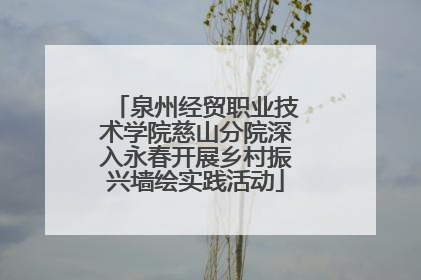 泉州经贸职业技术学院慈山分院深入永春开展乡村振兴墙绘实践活动