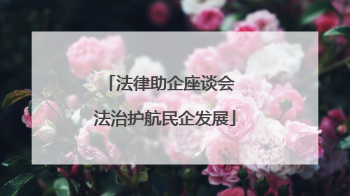 法律助企座谈会 法治护航民企发展