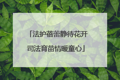 法护蓓蕾静待花开 司法育苗情暖童心