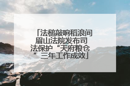 法槌敲响稻浪间 眉山法院发布司法保护“天府粮仓”三年工作成效