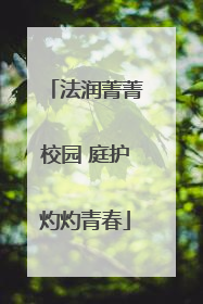 法润菁菁校园 庭护灼灼青春