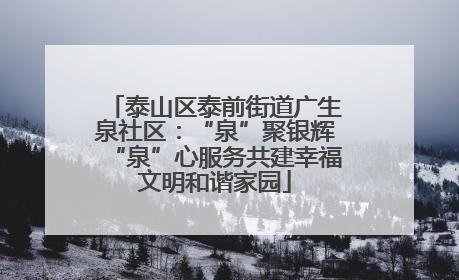 泰山区泰前街道广生泉社区：“泉”聚银辉“泉”心服务共建幸福文明和谐家园