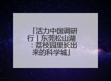 活力中国调研行丨东莞松山湖：荔枝园里长出来的科学城