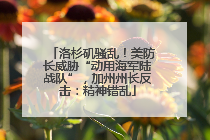 洛杉矶骚乱！美防长威胁“动用海军陆战队”，加州州长反击：精神错乱