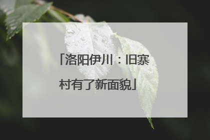 洛阳伊川：旧寨村有了新面貌