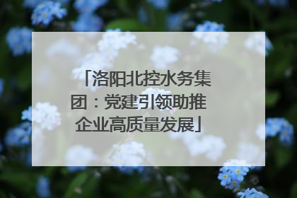 洛阳北控水务集团：党建引领助推企业高质量发展