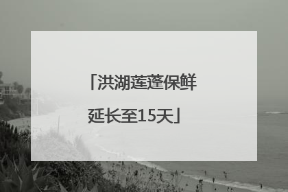 洪湖莲蓬保鲜延长至15天