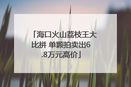 海口火山荔枝王大比拼 单颗拍卖出6.8万元高价