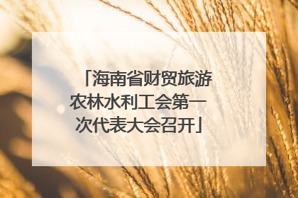 海南省财贸旅游农林水利工会第一次代表大会召开