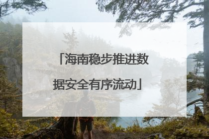 海南稳步推进数据安全有序流动