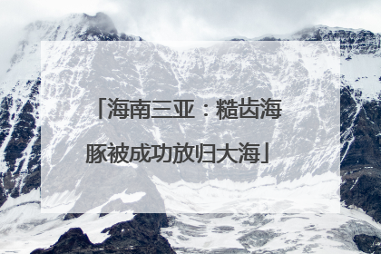海南三亚：糙齿海豚被成功放归大海