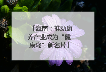 海南：推动康养产业成为“健康岛”新名片