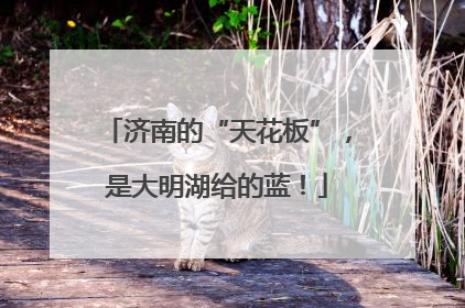 济南的“天花板”，是大明湖给的蓝！