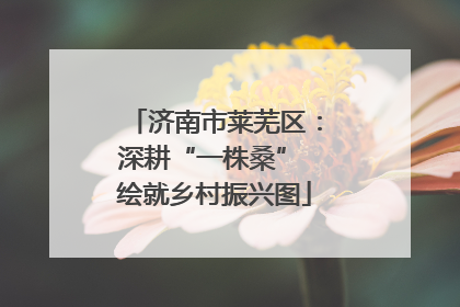 济南市莱芜区：深耕“一株桑” 绘就乡村振兴图