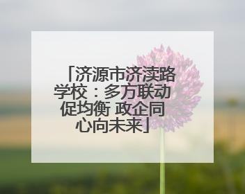 济源市济渎路学校：多方联动促均衡 政企同心向未来