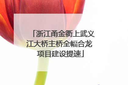 浙江甬金衢上武义江大桥主桥全幅合龙 项目建设提速