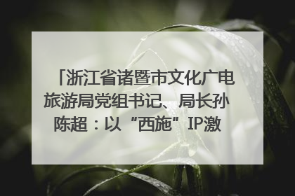 浙江省诸暨市文化广电旅游局党组书记、局长孙陈超：以“西施”IP激活全域旅游 打造县域文旅融合新标杆｜第七届全国县域旅游研究成果发布系列活动