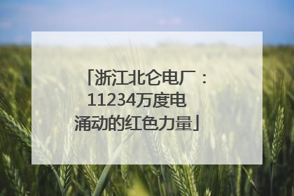 浙江北仑电厂：11234万度电涌动的红色力量