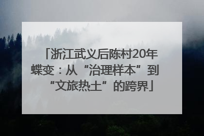 浙江武义后陈村20年蝶变：从“治理样本”到“文旅热土”的跨界