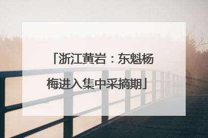 浙江黄岩：东魁杨梅进入集中采摘期