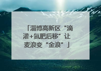 淄博高新区“滴灌+氮肥后移”让麦浪变“金浪”