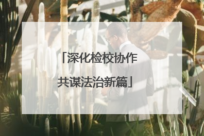 深化检校协作 共谋法治新篇