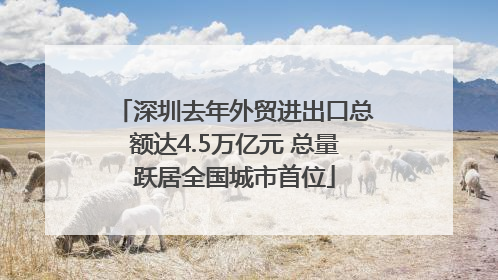 深圳去年外贸进出口总额达4.5万亿元 总量跃居全国城市首位