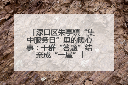 渌口区朱亭镇“集中服务日”里的暖心事：干群“答题”结亲成“一屋”