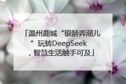 温州鹿城“银龄弄潮儿”玩转DeepSeek，智慧生活触手可及