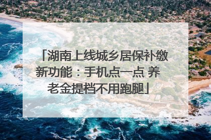 湖南上线城乡居保补缴新功能：手机点一点 养老金提档不用跑腿