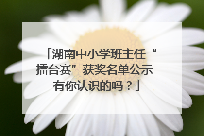 湖南中小学班主任“擂台赛”获奖名单公示 有你认识的吗？