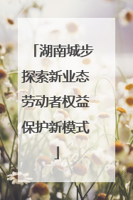湖南城步探索新业态劳动者权益保护新模式