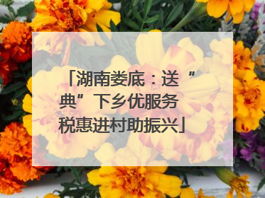 湖南娄底：送“典”下乡优服务 税惠进村助振兴