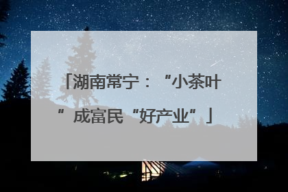 湖南常宁：“小茶叶”成富民“好产业”