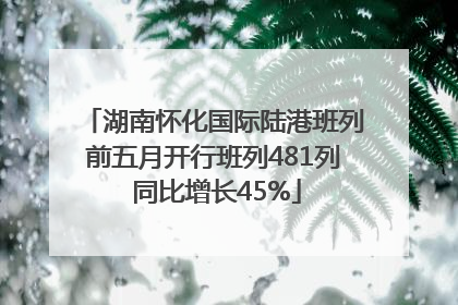 湖南怀化国际陆港班列前五月开行班列481列 同比增长45%