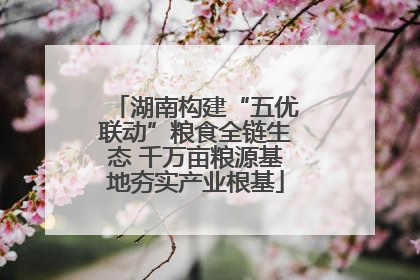 湖南构建“五优联动”粮食全链生态 千万亩粮源基地夯实产业根基