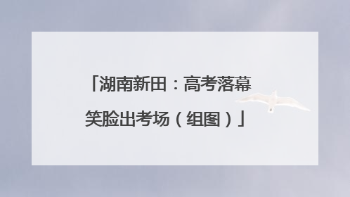 湖南新田：高考落幕 笑脸出考场（组图）
